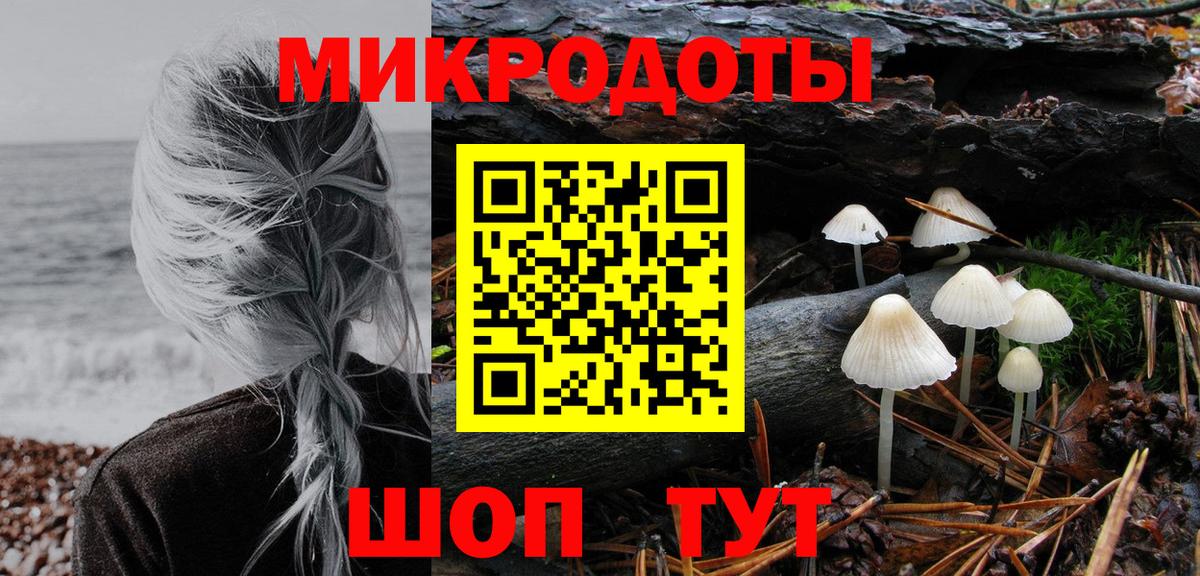 Галлюциногенные грибы Psilocybine cubensis  Вход с VPN  Псилоцибиновые грибы прущие грибы  Пушкино 