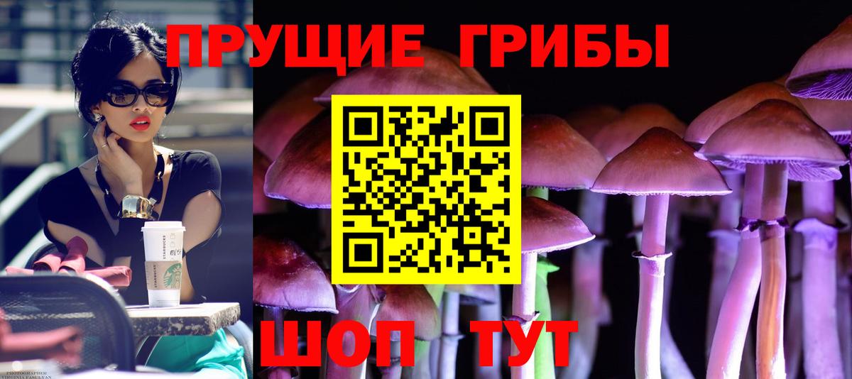Галлюциногенные грибы GOLDEN TEACHER Пушкино